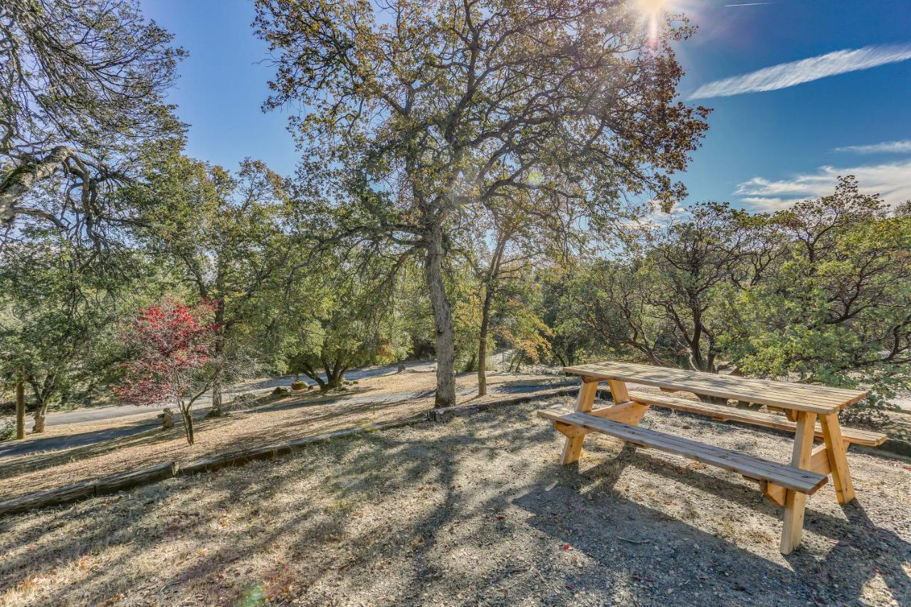 Cozy Studio With Well-Being Retreat Near Yosemite! Авані Екстер'єр фото