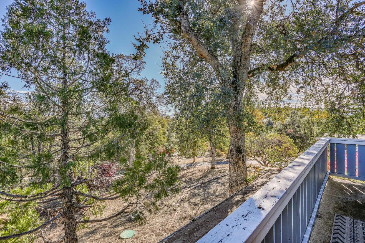 Cozy Studio With Well-Being Retreat Near Yosemite! Авані Екстер'єр фото