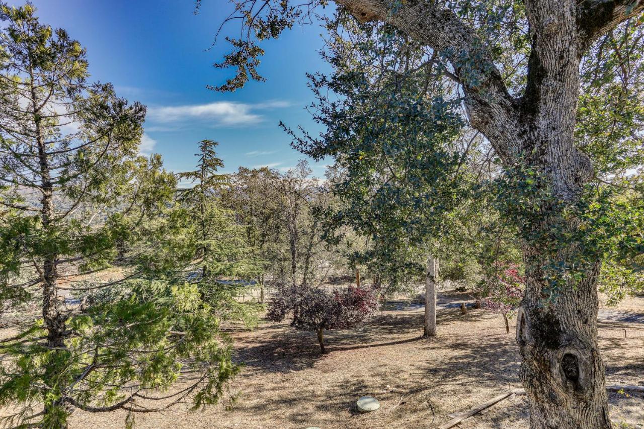 Cozy Studio With Well-Being Retreat Near Yosemite! Авані Екстер'єр фото
